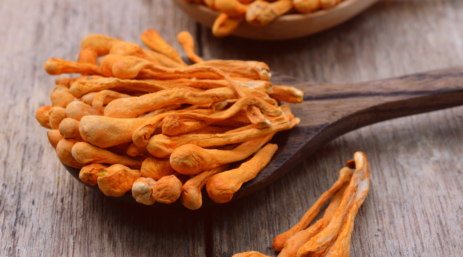 Cordyceps: Der sportliche Booster der TCM